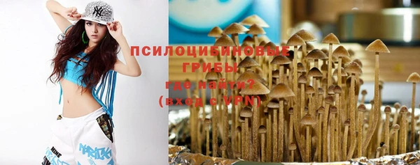 ешки Аркадак