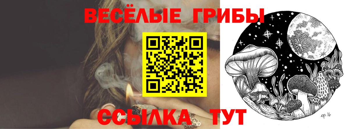 Псилоцибиновые грибы Psilocybine cubensis Волгодонск