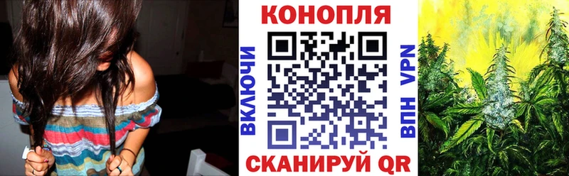 мориарти Telegram  как найти закладки  Волгодонск  Бошки Шишки план 